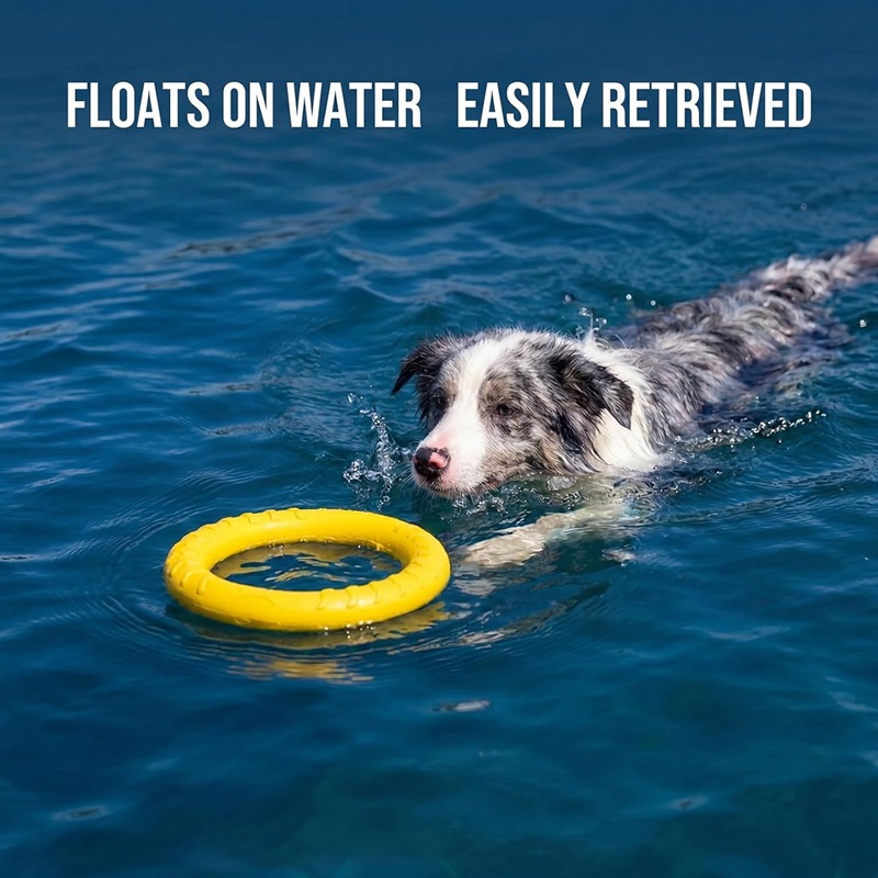 Flying Disc Dog Training Toy - Đồ chơi cho chó: Đĩa bay,