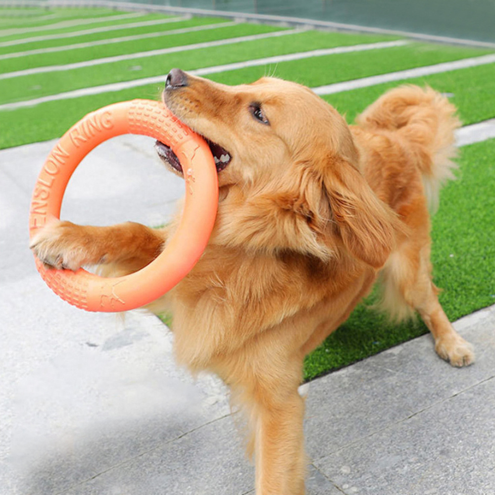 1PC cam Dog Đồ chơi Vật nuôi b - đánh giá và giá Indestructible Dog Chew Toy