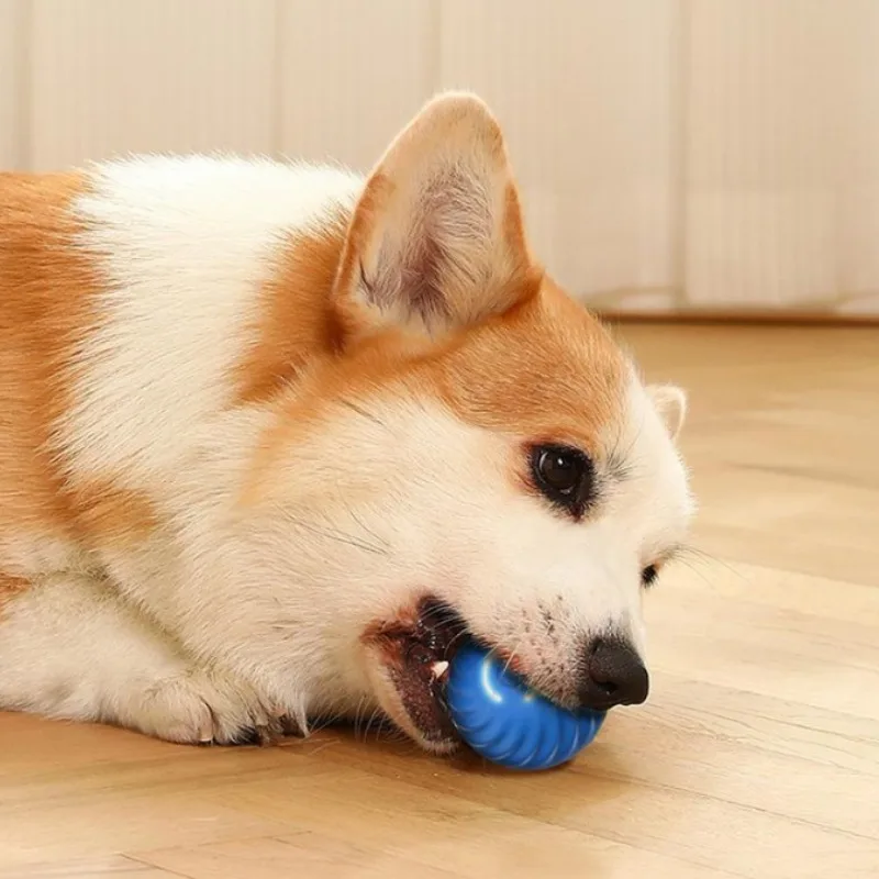 SS Pet Toy Ball Automatic Movi - đánh giá và giá Automatic Moving Dog Ball