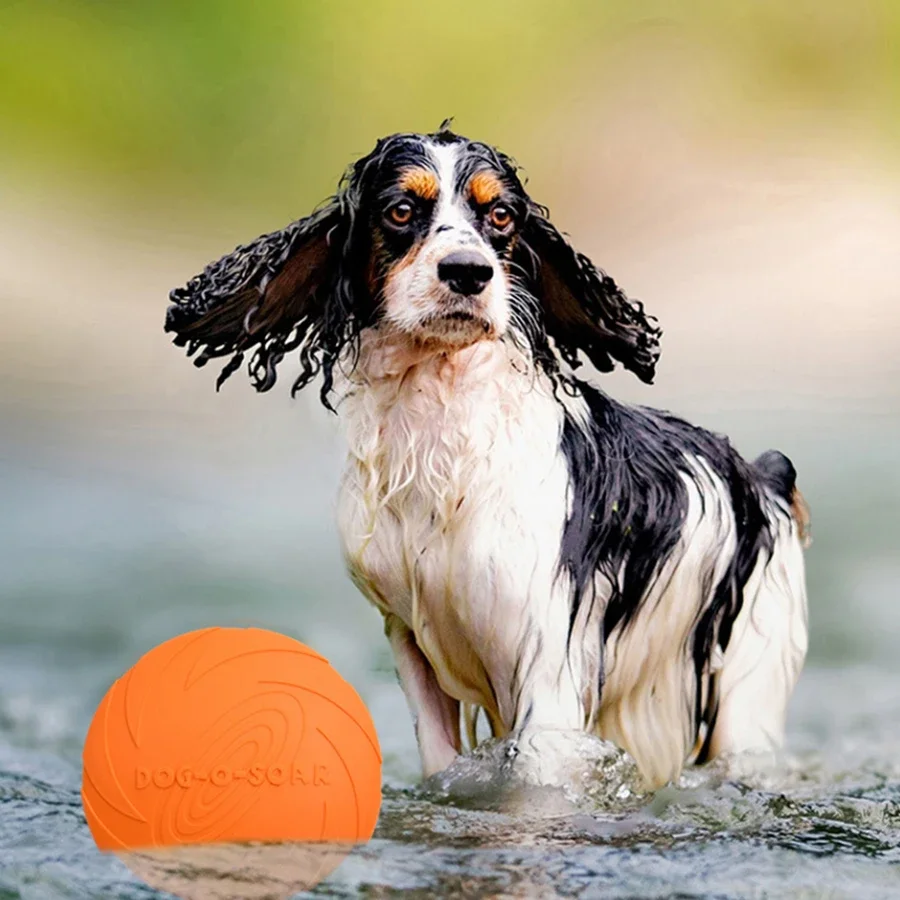 G Large Dog Golden Fur Pet Fly - đánh giá và giá Flying Disc Dog Training Toy