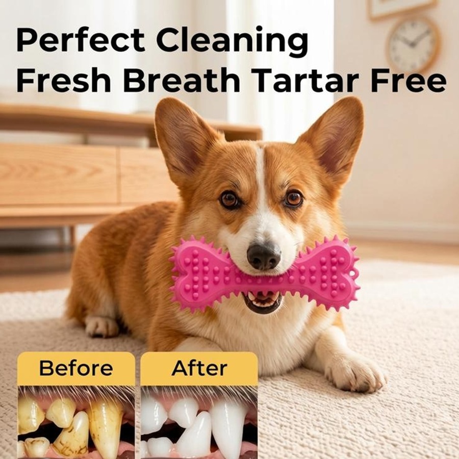 3/6pcs Chew Toys Dog Rubber To - đánh giá và giá Teeth Cleaning Dog Chew Bone