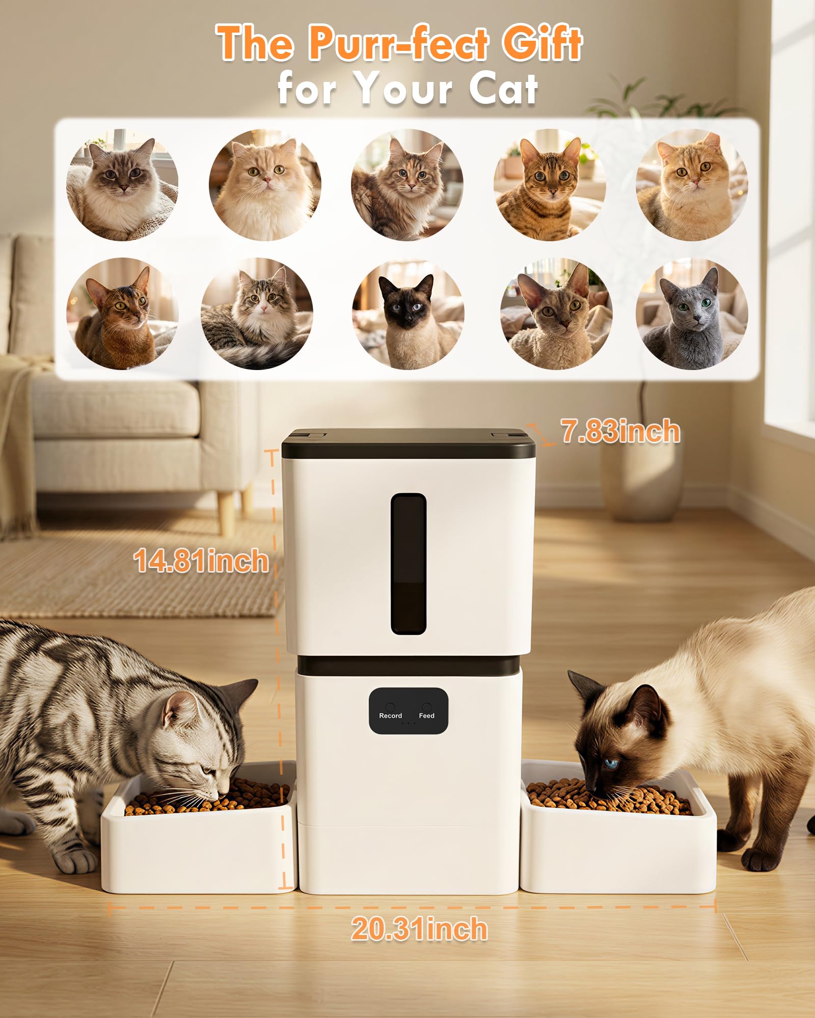 5GHz WiFi 8L Smart Automatic P - đánh giá và giá Pet Feeders